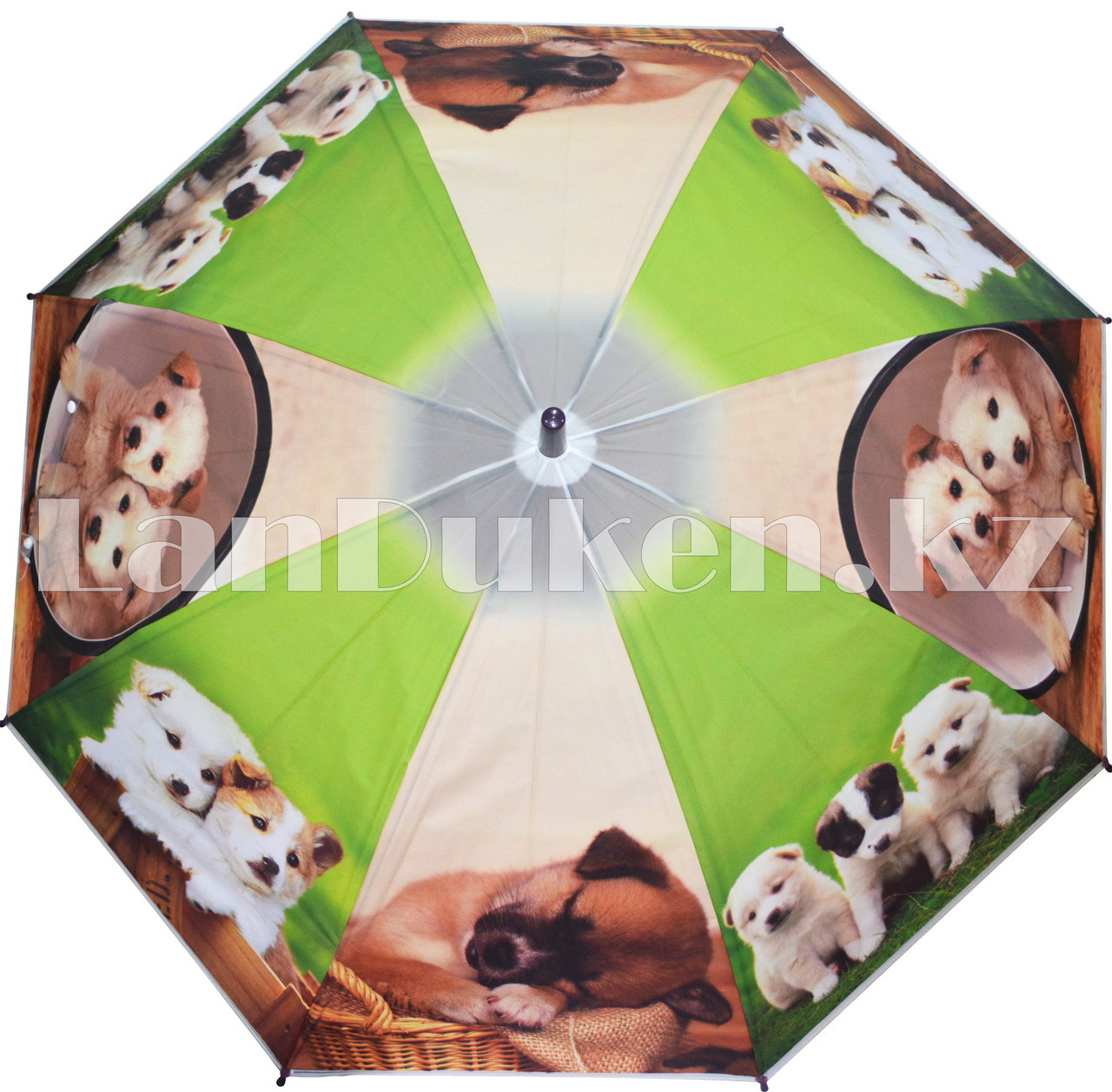 Зонт-трость с принтом (собаки) фиолетовая ручка, фото 1