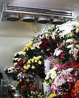 Холодильное оборудование для цветов