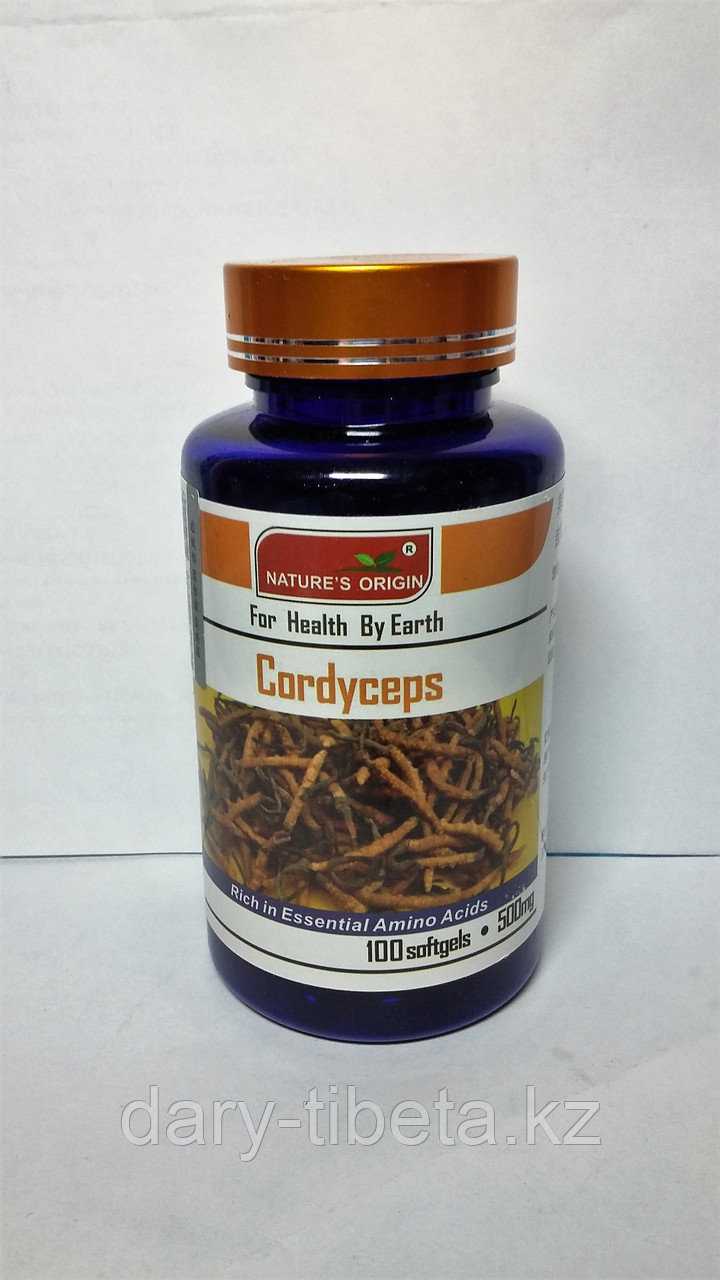 Капсулы - Cordyceps Aweto ( Кордицепс )