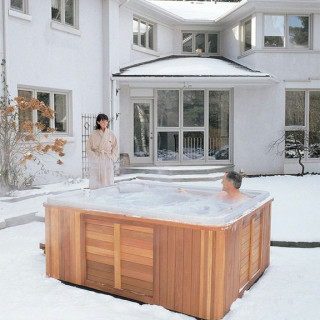 Спа бассейн Hydropool Self-Cleaning 495