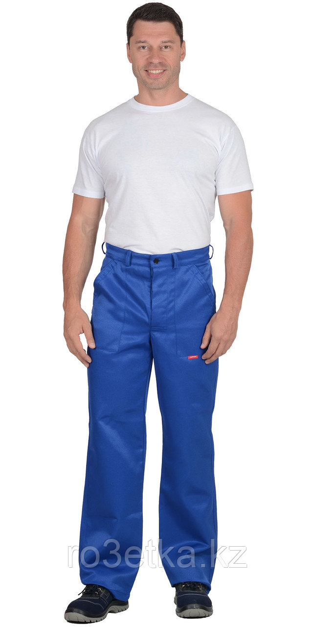 Спецодежда летняя Брюки "ПРОФЕССИОНАЛ" васильковые