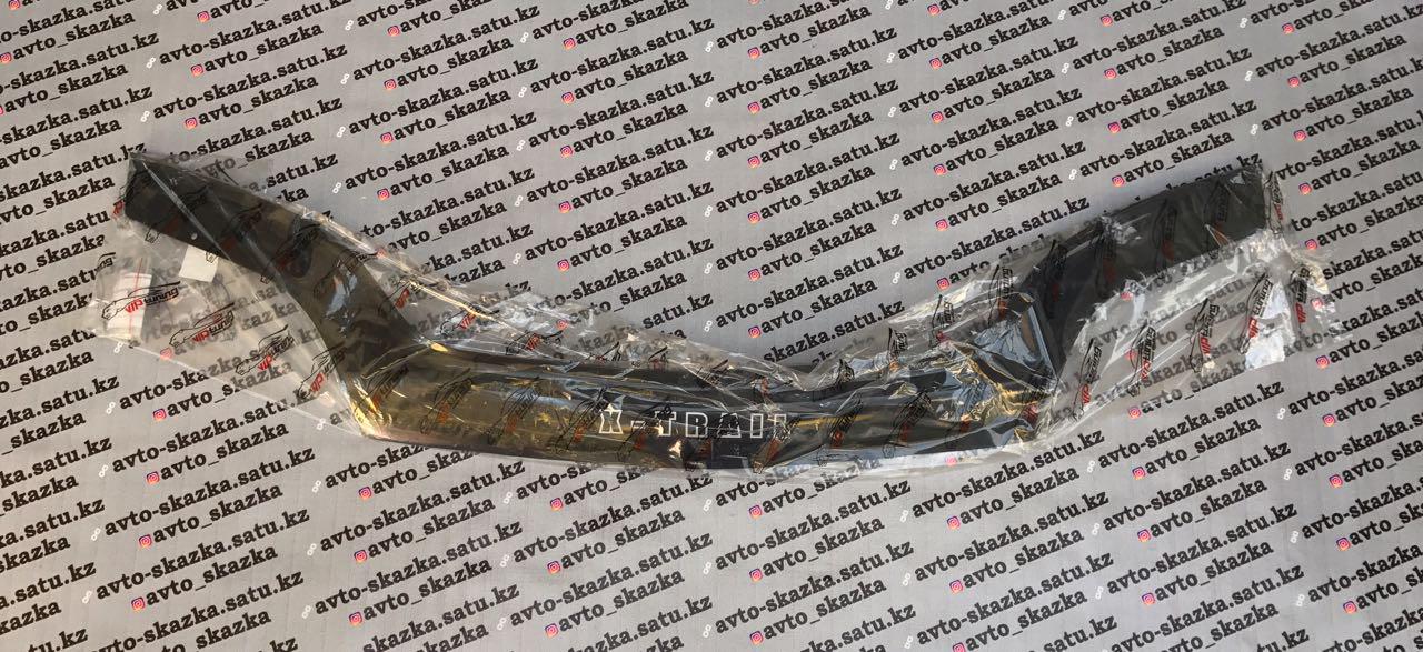 Мухобойка на NISSAN	X-TRAIL T30	(2001-2007)