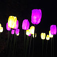 Светодиодные уличные Тюльпаны(20 цветов), желтые, розовые, красные, фото 7