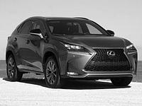 Обвес "F-Sport" (пластик) для Lexus NX