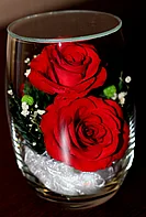 Живые цветы в стекле RmiR