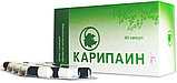 Хондропротектор Карипаин капсулы №60, фото 2