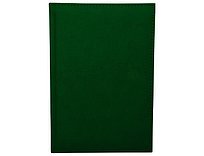 Полудатированный ежедневник А5 SIMPLE (Симплэкс) зеленый