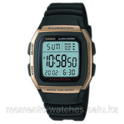 Мужские часы Casio W-96H-9AVDF