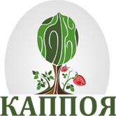 Казахстанская ассоциация производителей и переработчиков орехов и ягод