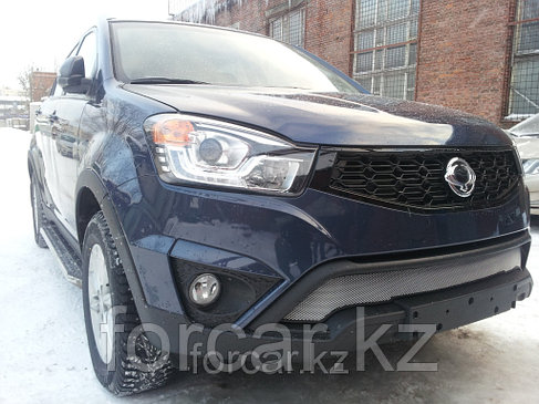 Защита радиатора Ssang Yong Actyon 2013- chrome низ, фото 2