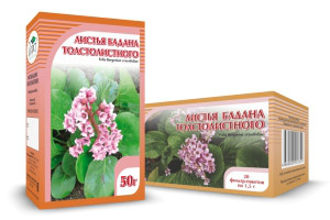 Бадан толстолистный, листья, 50 г