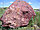 Натуральный камень яшма красная сургучная (валуны, булыжники, песок), фото 2
