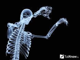 Препараты для укрепления костей