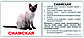Мини-20 Породы кошек, фото 2