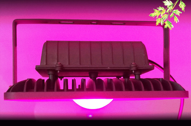 фитопрожектор с линзой 60