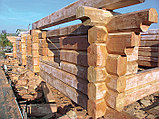 Строительство срубов из лафета. Алтайский кедр., фото 10