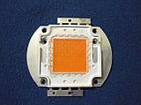 Фито светодиод матрица BridgeLux 50W полного спектра 380 - 840 нм 45х45 mil плюс драйвер 50W, фото 3