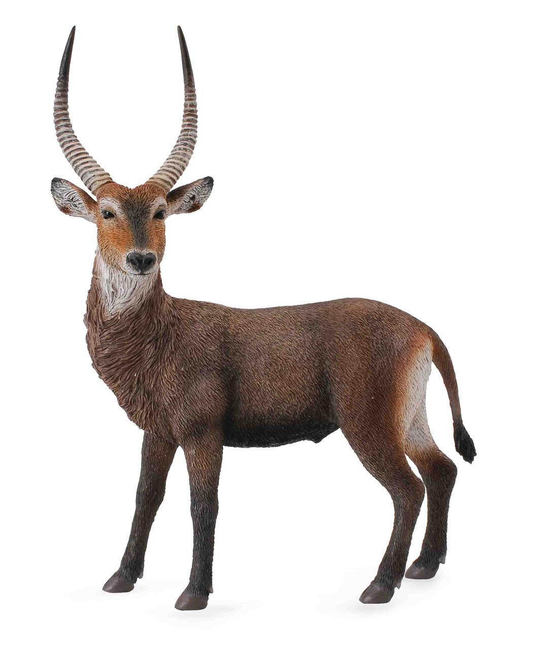 CollectA Фигурка Водяной козел, длина 13.5 см