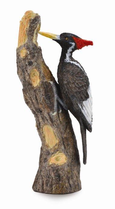 CollectA Фигурка Белоклювый Дятел, 4,3 см