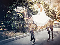 Фото видео съемка, Аэросъемка любая в Алматы. Монтаж. Слайд-шоу. Фотосессии. Ролики. Качество. Цена.