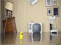 Что делать, если вы затопили соседей снизу?