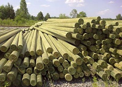 Деревянные опоры ЛЭП, деревянные столбы для линий электропередач (ЛЭП) и связи