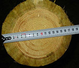 Деревянные опоры ЛЭП, деревянные столбы для линий электропередач (ЛЭП) и связи, фото 2