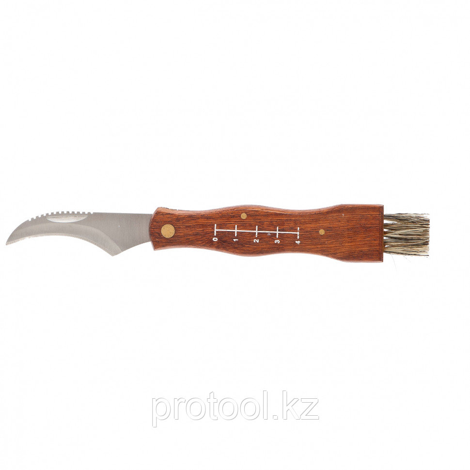 Нож грибника большой, деревянная рукоятка// PALISAD