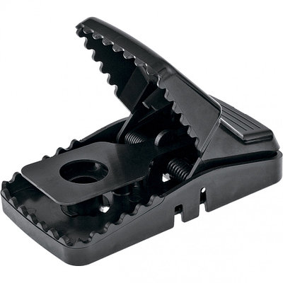 Пионер жетекшілері сорып, анальді секс береді