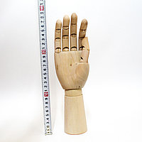Модель "Рука" 29 см, правая