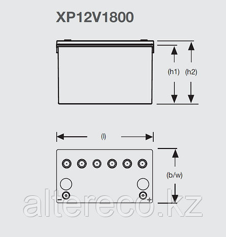 Аккумулятор EXIDE Sprinter XP12V1800 (12В, 56.4/60.8Ач), фото 2