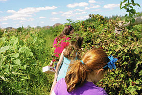 Агротуризм в Алматы (#надаче)