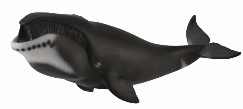 CollectA Фигурка Гренландский кит, XL