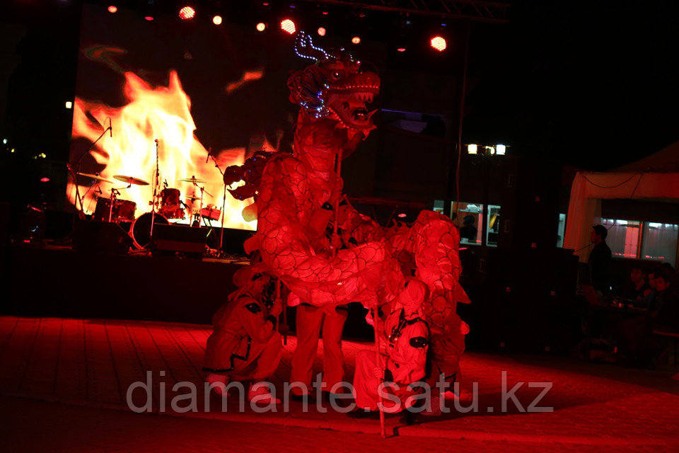 Танец диодного дракона. 10-метровый дракон от Diamante88