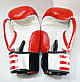Боксерские перчатки TOP TEN кожа, фото 2