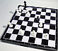 Магнитные шахматы  24см X 24см, фото 4