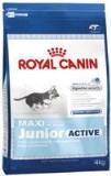 Royal Canin Maxi Junior Active Роял Канин макси Для активных щенков собак крупных размеров (20 кг)