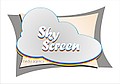 Медиа агенство SkyScreen