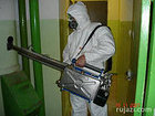 Обработка от насекомых в Актау, фото 2