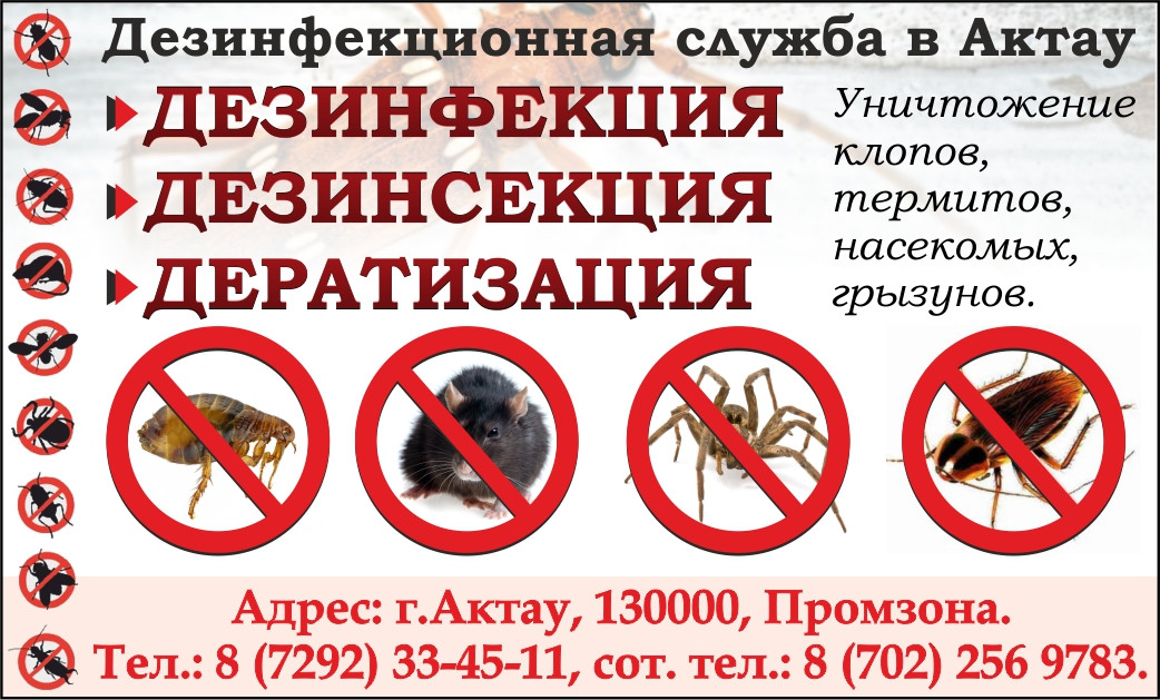 Дезинсекция от тараканов