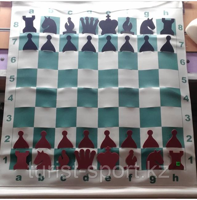 Доска демонстрационная шахматная