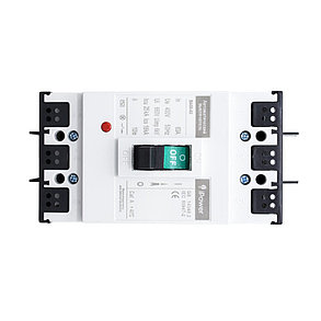 Автоматический выключатель iPower ВА55-63 3P 40A, фото 2
