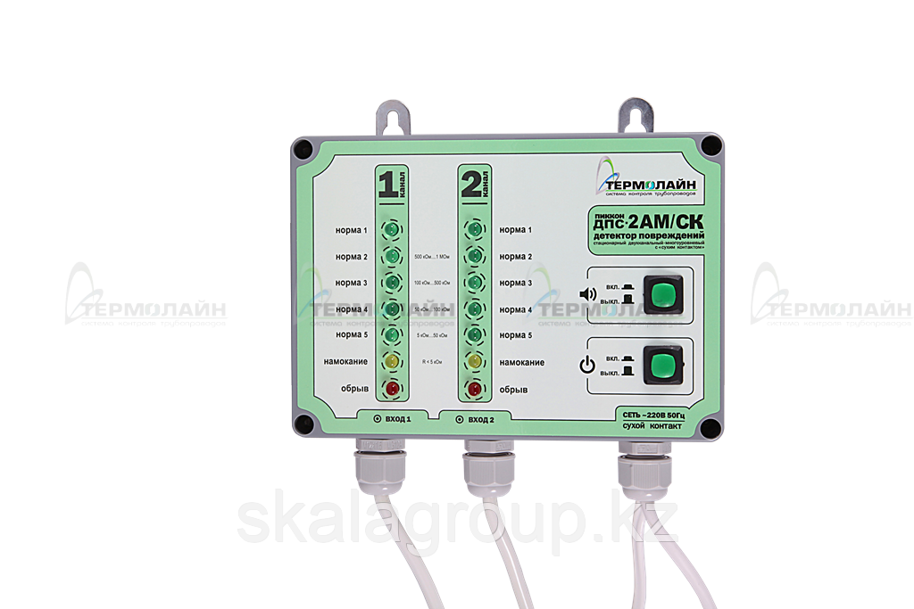 Детектор  ДПС-2АМ/СК повреждений стационарный двухканальный с «сухим контактом»