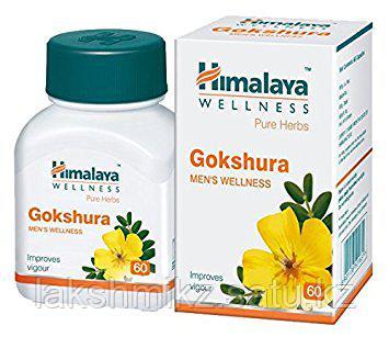 Гокшура (Gokshura Himalaya) - 60 тб. Для здоровья почек