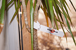 Садовые бирки