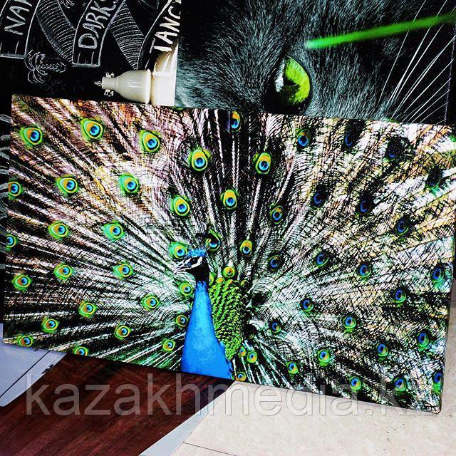 Картина «ПАВЛИН 2»70х50