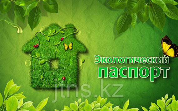 Разработка паспорта опасных отходов, фото 2