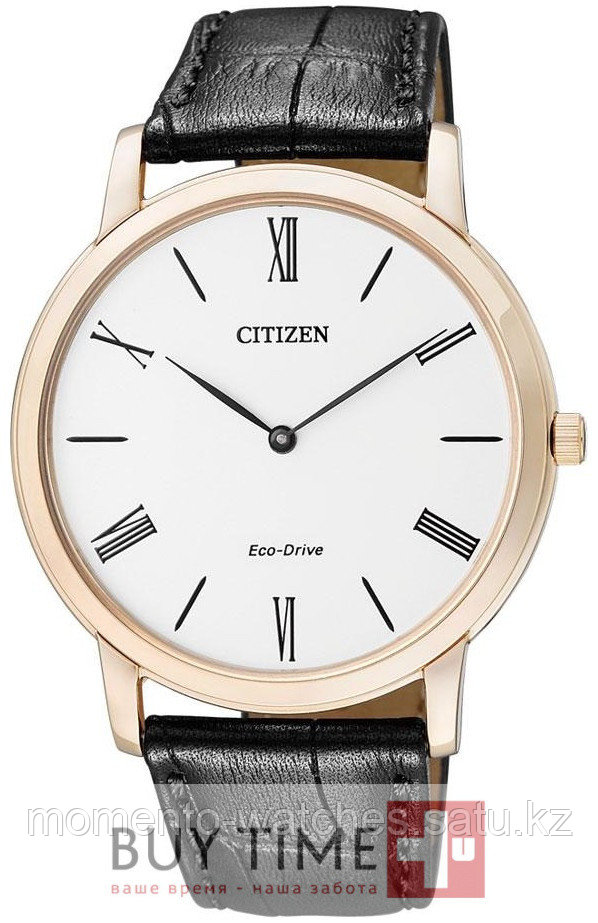 Часы Citizen AR1113-12B
