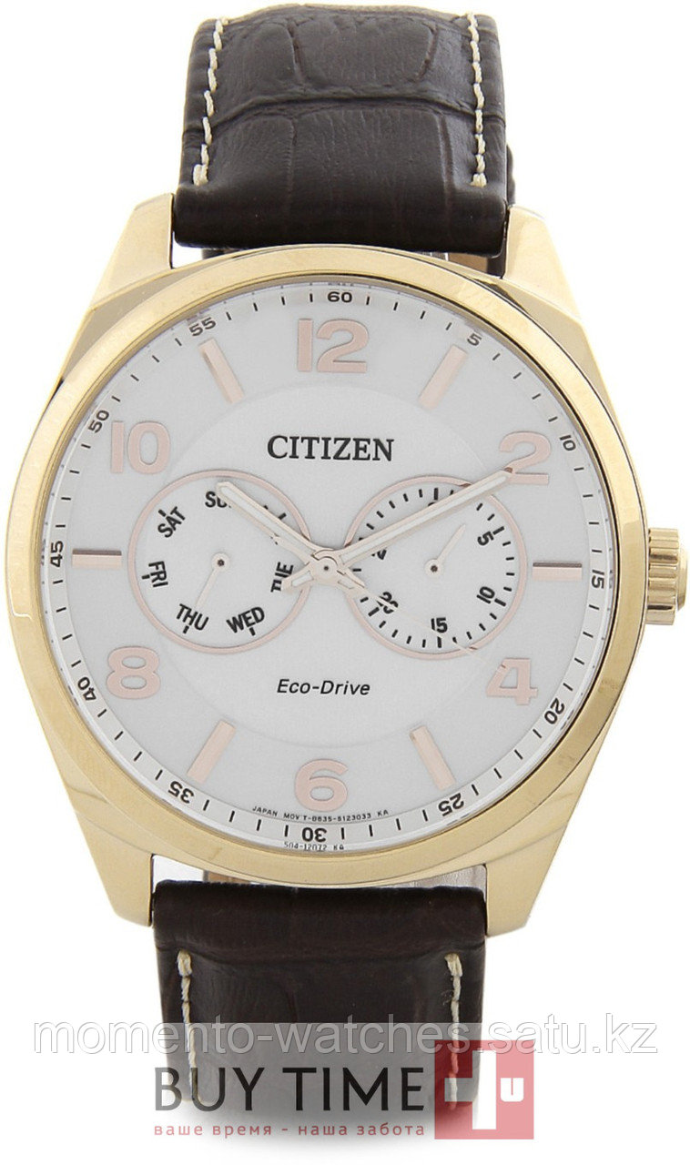 Часы Citizen AO9024-08A