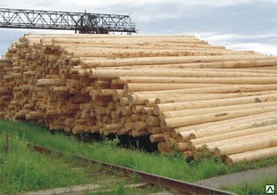 Деревянные опоры ЛЭП длиной 6м, 7м, 8.5м, 9.5м. (пропитанные)